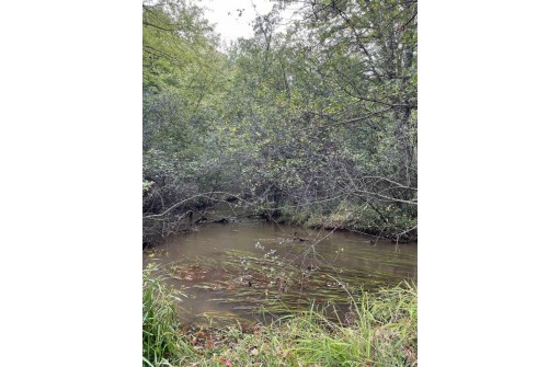 8.457 ACRES Townline Road LOT 13 OF WCCSM 1096, Wisconsin Rapids, WI 54494