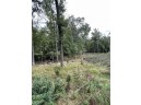 8.457 ACRES Townline Road LOT 13 OF WCCSM 1096, Wisconsin Rapids, WI 54494