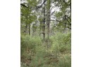 10.419 ACRES 48th Street South LOT 5 OF WCCSM 10967, Wisconsin Rapids, WI 54494