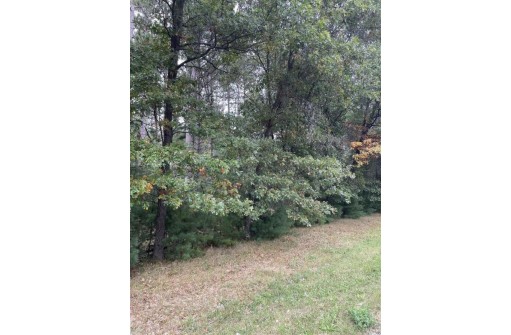 10.386 ACRES 48th Street South LOT 7 OF WCCSM 10967, Wisconsin Rapids, WI 54494