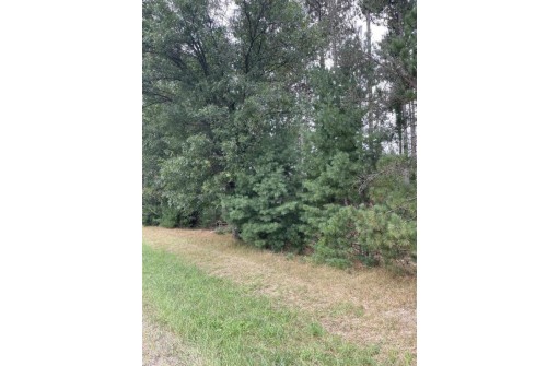 10.369 ACRES 48th Street South LOT 8 OF WCCSM 10967, Wisconsin Rapids, WI 54494