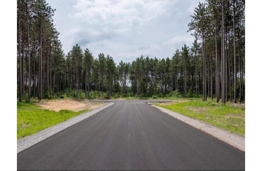 LOT 2 Two Sisters Court, Stevens Point, WI 54482