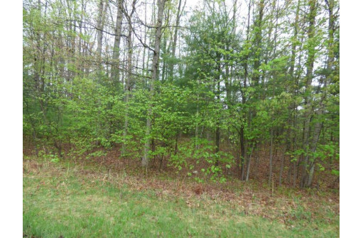 LOT 7 Eagle Summit, Stevens Point, WI 54482