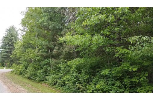 LOT #9 Center Road, Merrill, WI 54452