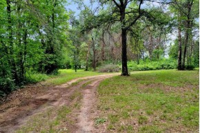 16 ACRES MOL Ole River Road