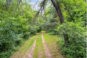 16 ACRES MOL Ole River Road