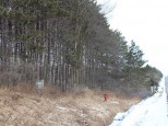 +/-3.64 ACRES State Highway 64 Medford, WI 54451