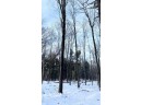 80 ACRES Lake View Drive, Junction City, WI 54443