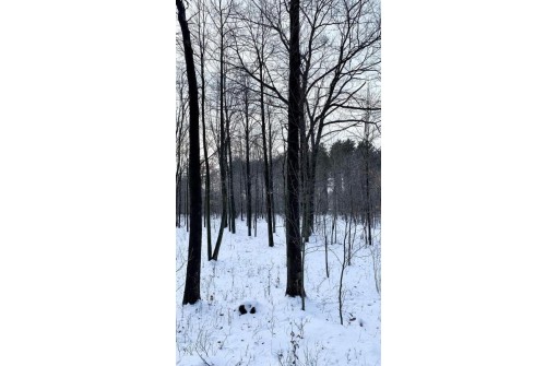80 ACRES Lake View Drive, Junction City, WI 54443