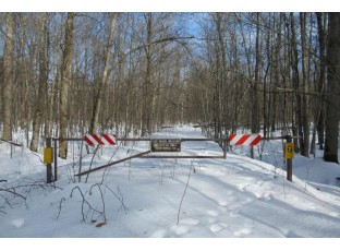 +/-40 ACRES Forest Road 113 Westboro, WI 54490