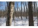 +/-40 ACRES Forest Road 113 Westboro, WI 54490