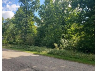 LOT 17 Timber Shores Drive Stevens Point, WI 54481