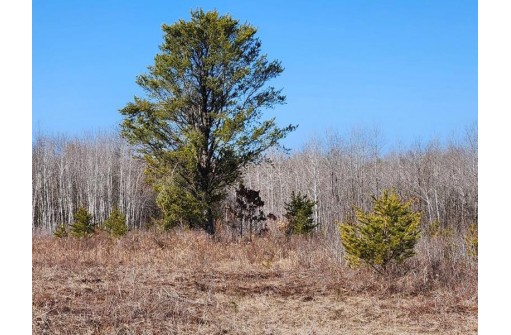 Koval Road, Lyndon Station, WI 53944