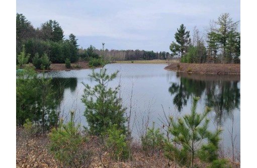 25 ACRES Sawmill Road, Stevens Point, WI 54481