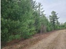 25 ACRES Sawmill Road, Stevens Point, WI 54481