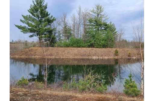 25 ACRES Sawmill Road, Stevens Point, WI 54481