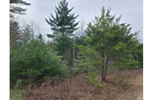 25 ACRES Sawmill Road, Stevens Point, WI 54481