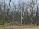 25 ACRES Sawmill Road, Stevens Point, WI 54481