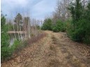 25 ACRES Sawmill Road, Stevens Point, WI 54481