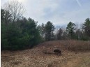 25 ACRES Sawmill Road, Stevens Point, WI 54481
