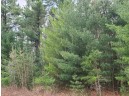 25 ACRES Sawmill Road, Stevens Point, WI 54481