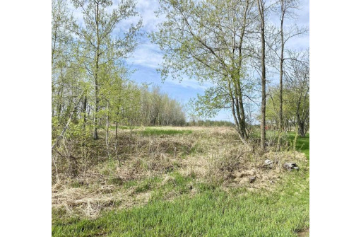 51 ACRES Ringle Avenue, Ringle, WI 54471