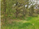 1181 Brown Bear Trail, Nekoosa, WI 54457