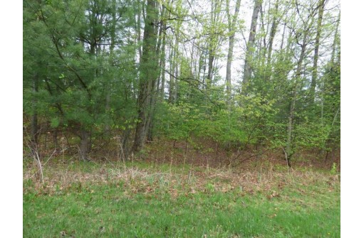 LOT 7 Eagle Summit, Stevens Point, WI 54482