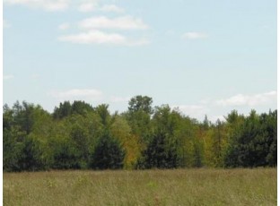 40 ACRES North Star Lane Custer, WI 54423