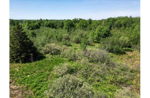 15 ACRES County Road Ff, Merrill, WI 54452