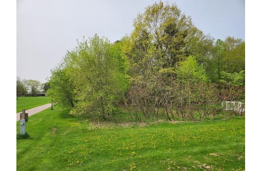 LOT 8 3rd Street, Pittsville, WI 54466