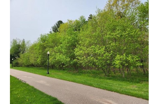 LOT 8 3rd Street, Pittsville, WI 54466