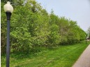 LOT 8 3rd Street, Pittsville, WI 54466