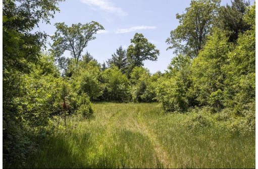 80 ACRES County Road V, Deerfield, WI 54943