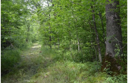 0 County Road Q, Redgranite, WI 54970