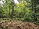 LOT 3 Misty River Lane, Rhinelander, WI 54501