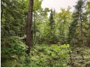 LOT 3 Misty River Lane, Rhinelander, WI 54501