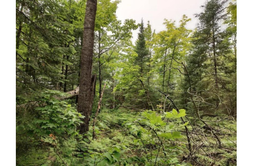 LOT 3 Misty River Lane, Rhinelander, WI 54501