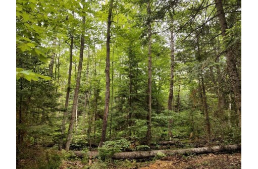 LOT 3 Misty River Lane, Rhinelander, WI 54501