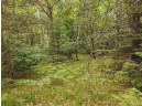 LOT 3 Misty River Lane, Rhinelander, WI 54501