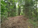 LOT 3 Misty River Lane, Rhinelander, WI 54501