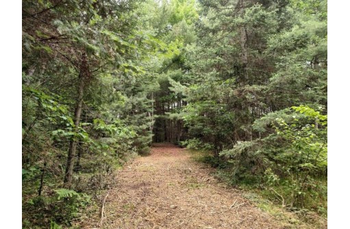 LOT 3 Misty River Lane, Rhinelander, WI 54501