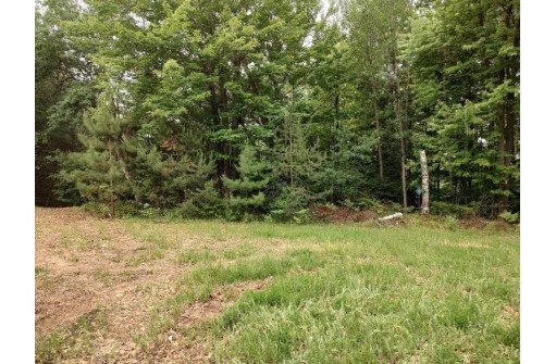 LOT 3 Misty River Lane, Rhinelander, WI 54501