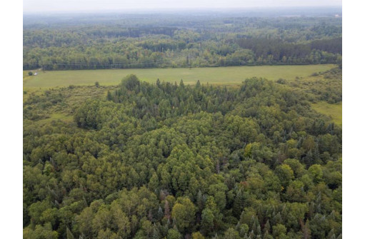 160 ACRES North Star Drive, Merrill, WI 54452