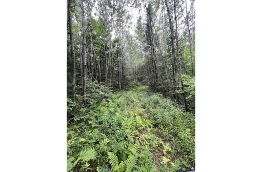 160 ACRES North Star Drive, Merrill, WI 54452