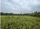 160 ACRES North Star Drive, Merrill, WI 54452