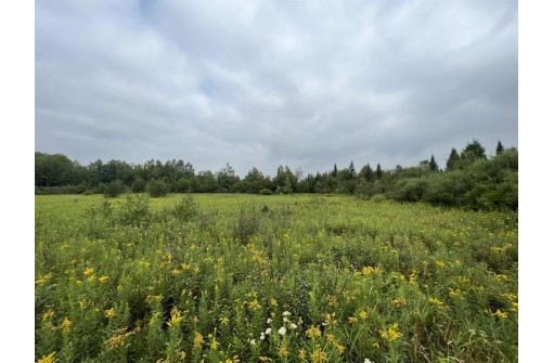 160 ACRES North Star Drive, Merrill, WI 54452