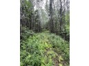 160 ACRES North Star Drive, Merrill, WI 54452