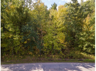 LOT 11 Wood Duck Lane Merrill, WI 54452