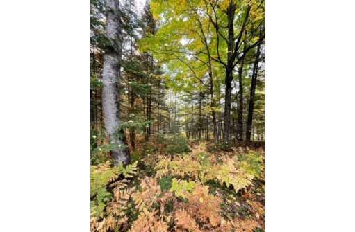 12.8 AC State Line Road, Presque Isle, WI 54557